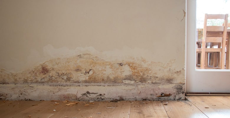 vochtbestrijding muren