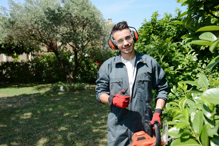 tuinonderhoud offerte