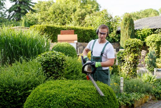 offerte hovenier