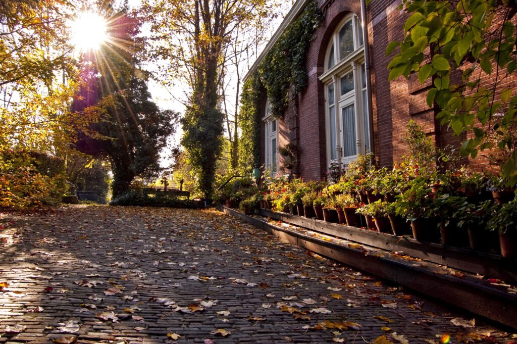 huis herfstklaar maken
