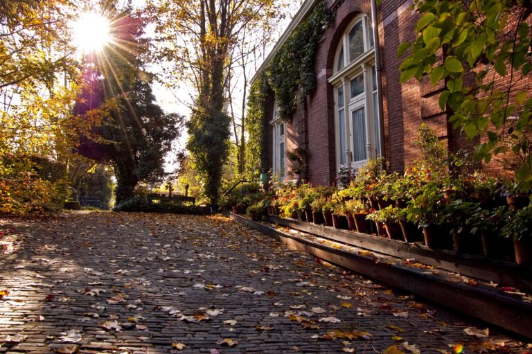 huis herfstklaar maken